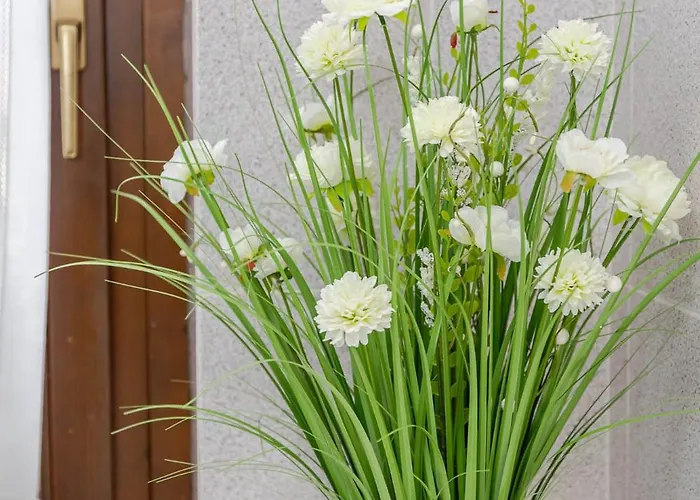 Casa Amelia Maggiore * Maccagno